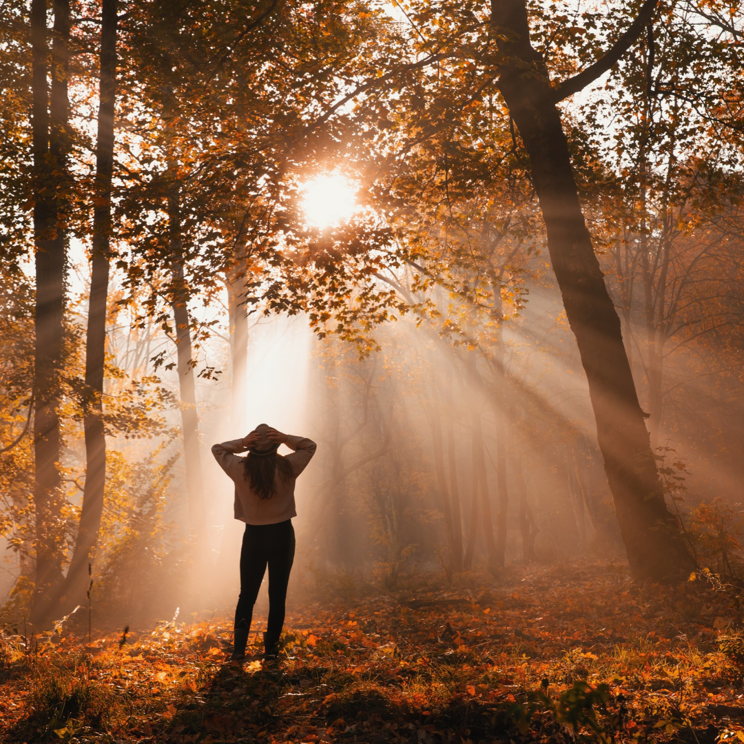 Silhouette of a Woman in the Forest in the Morning Mist